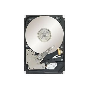 Seagate Constellation.2 ST91000640SS 1TB 7.2K SAS 6Gb/S 2.5inch HDD Dell OEM Refurbished
