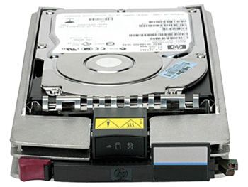 HP Dual Port-Hard drive-300 GB-hot-swap-4Gb Fibre Channel-15000 rpm
