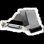 StarTech.com Low Profile 16in Parallel Port Header Cable Adapter with Bracket – DB25 (F) to IDC26